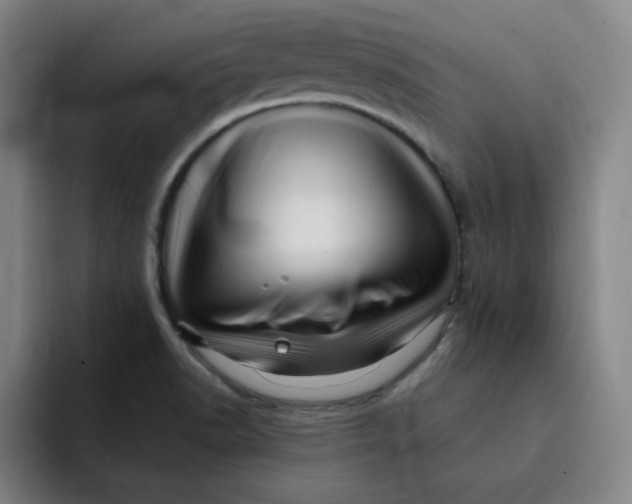 X0000091901518200709261648