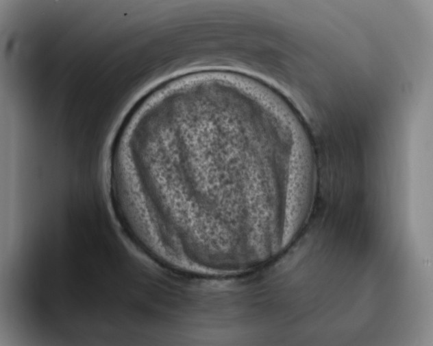 X0000091901519200709261648