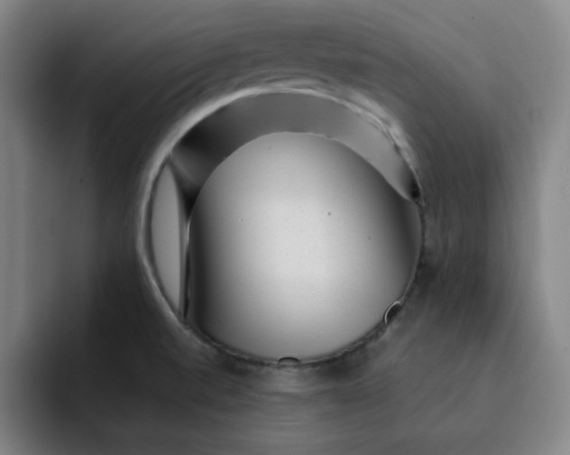 X0000091901520200709261648