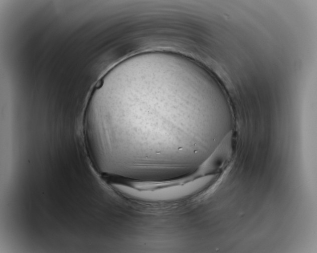 X0000091901521200709261648