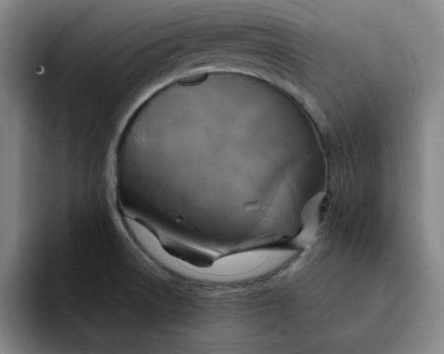 X0000091901522200709261648