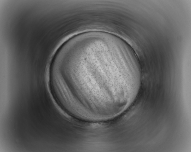 X0000091901523200709261648