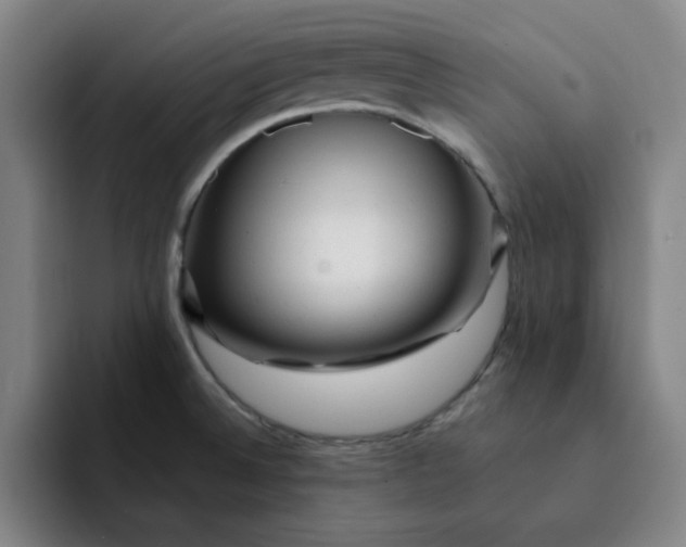 X0000091901524200709261648