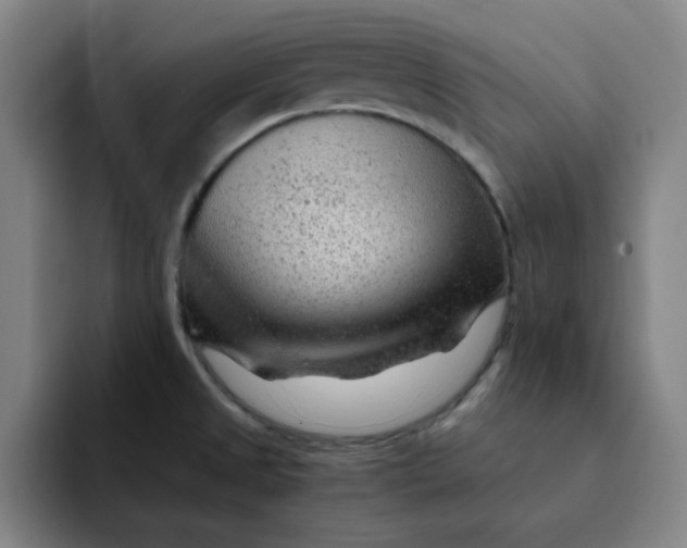 X0000091901525200709261648