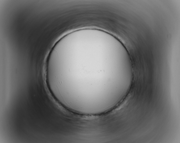 X0000091901526200709261648