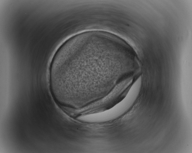 X0000091901527200709261648