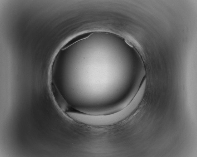 X0000091901528200709261648