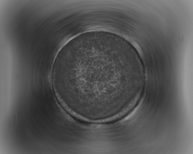 X0000091901529200709261648