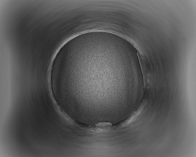 X0000091901530200709261648