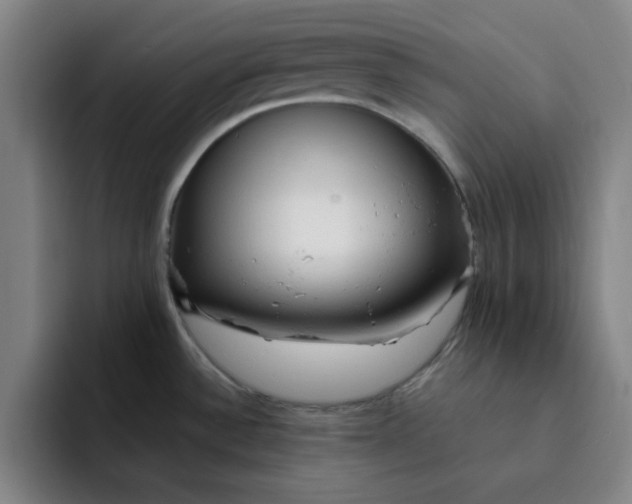 X0000091901532200709261648