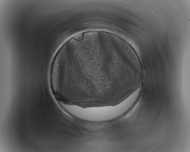 X0000091901533200709261649