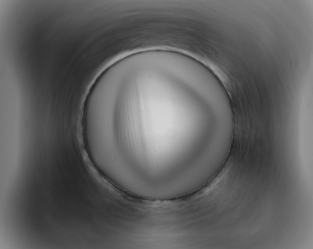 X0000091901534200709261649