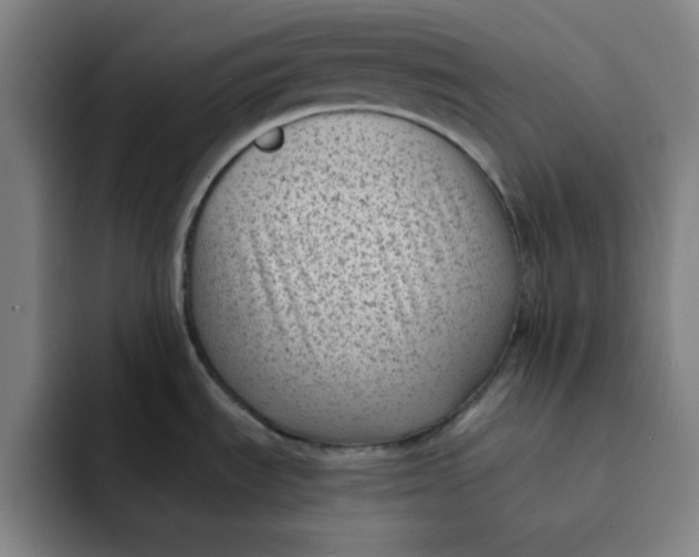 X0000091901535200709261649