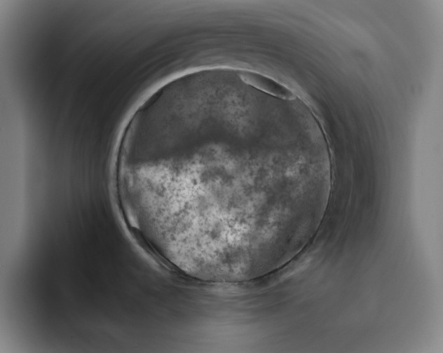 X0000091901536200709261649