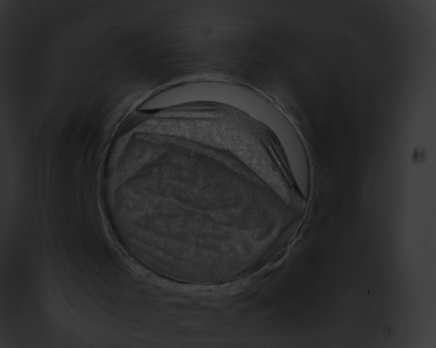 X0000091900001200710031212