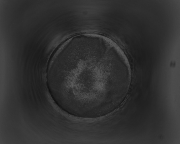 X0000091900002200710031212