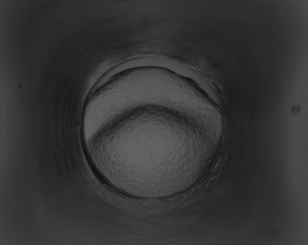 X0000091900003200710031212