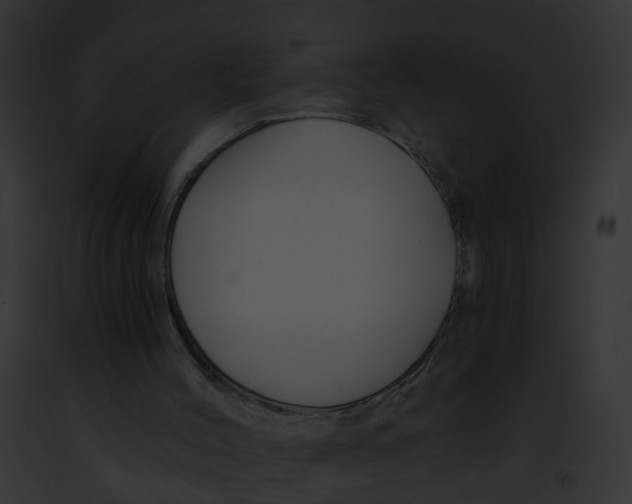 X0000091900004200710031212