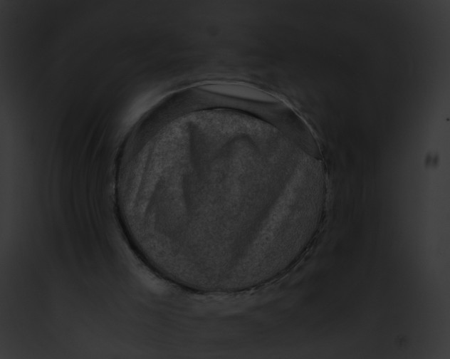 X0000091900005200710031212