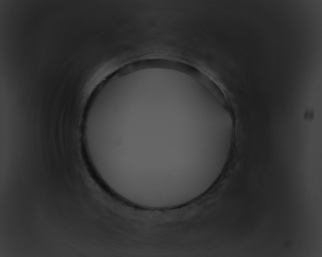 X0000091900007200710031212