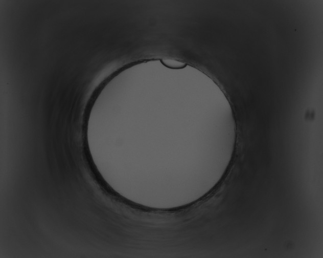 X0000091900008200710031212