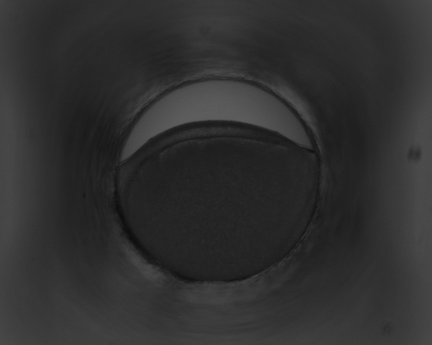 X0000091900009200710031211