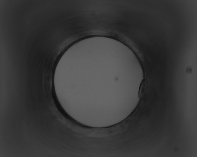 X0000091900011200710031211