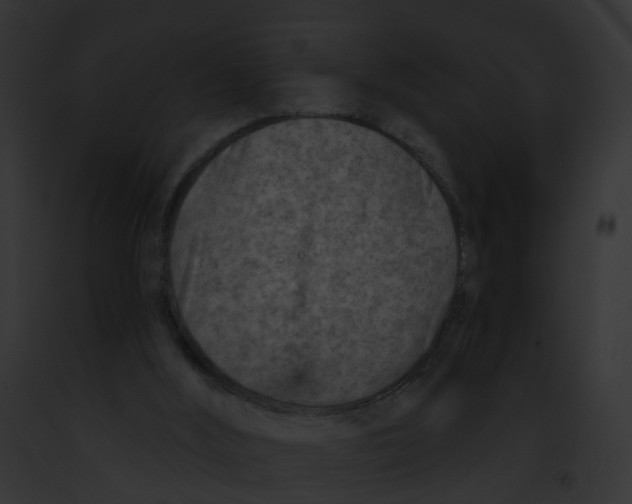 X0000091900012200710031211