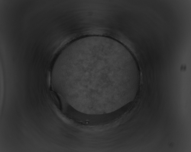 X0000091900013200710031211