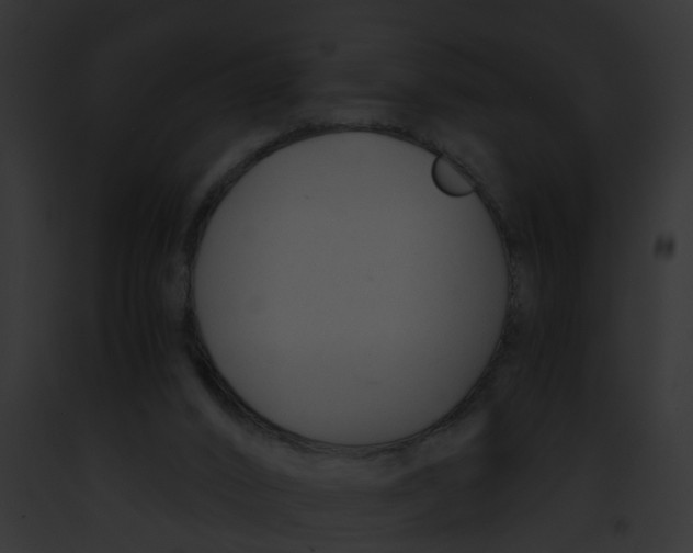 X0000091900016200710031211