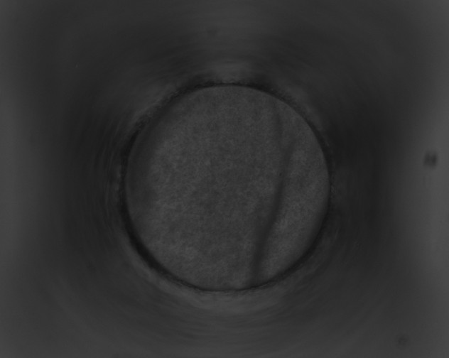 X0000091900018200710031211