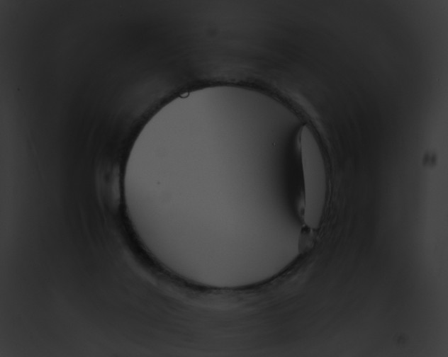 X0000091900020200710031211