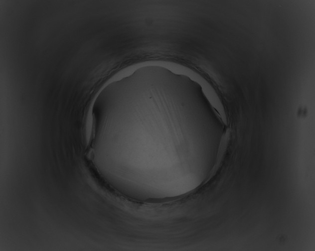 X0000091900022200710031211