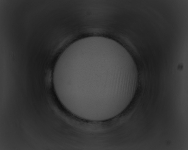 X0000091900024200710031211