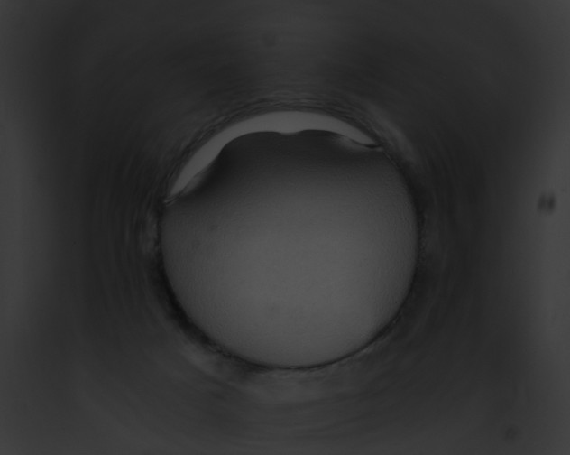 X0000091900025200710031211