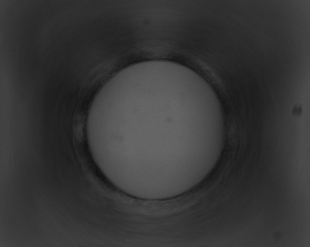 X0000091900026200710031211