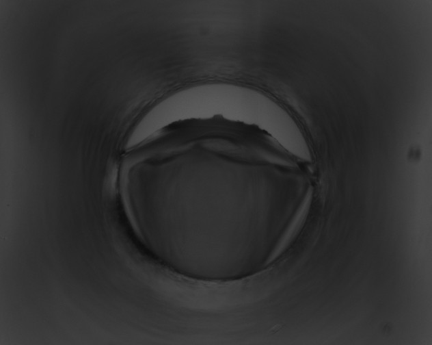 X0000091900027200710031211