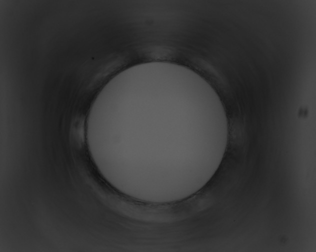 X0000091900028200710031211