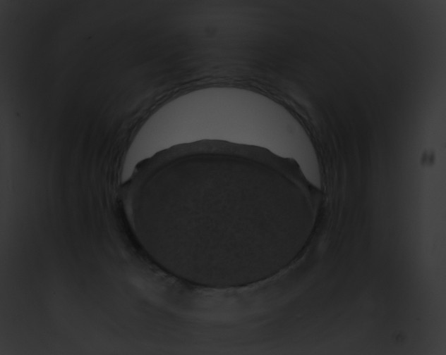 X0000091900029200710031211