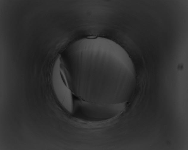 X0000091900031200710031211