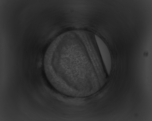 X0000091900032200710031211