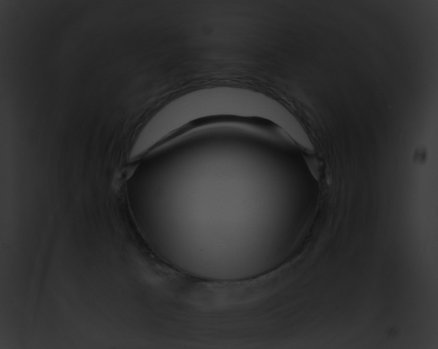 X0000091900033200710031211