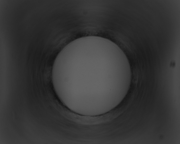 X0000091900034200710031211