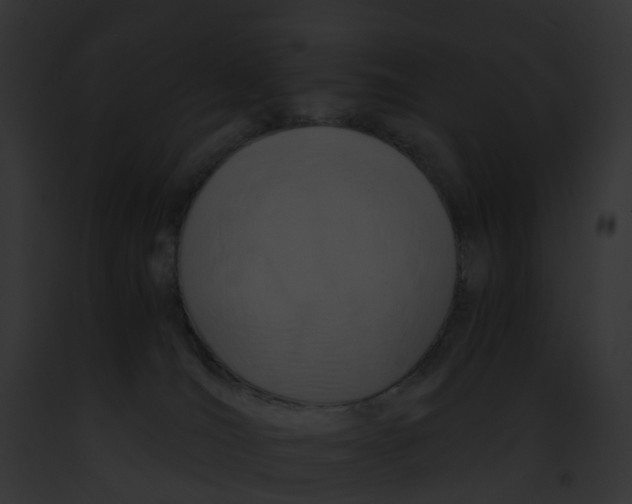 X0000091900036200710031211