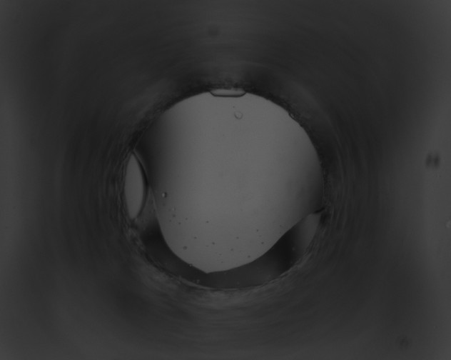 X0000091900037200710031211