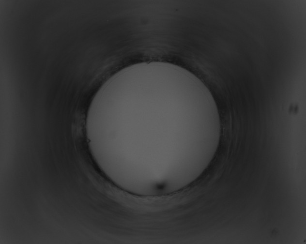 X0000091900038200710031211