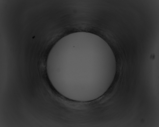 X0000091900040200710031211