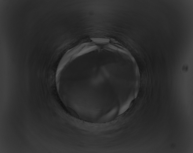 X0000091900043200710031211