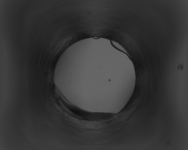 X0000091900044200710031211