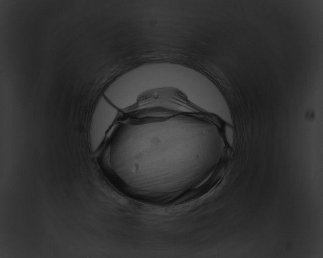 X0000091900045200710031211